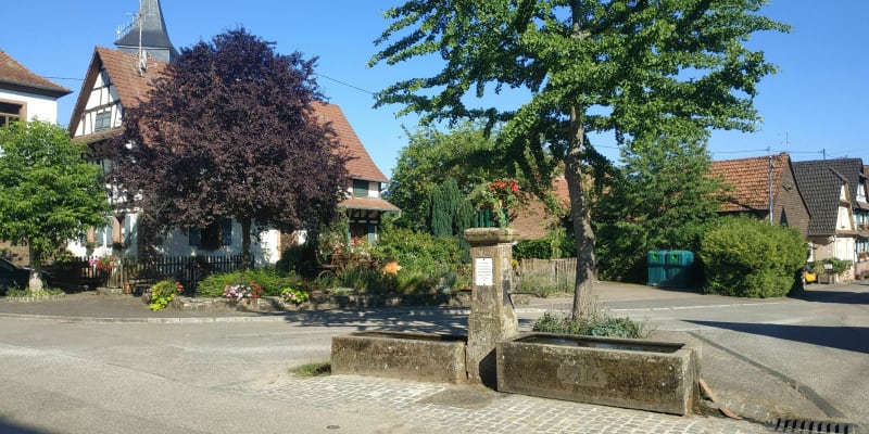 Magnifique balade à l'intérieur de la forêt de Katzenthal - Lembach