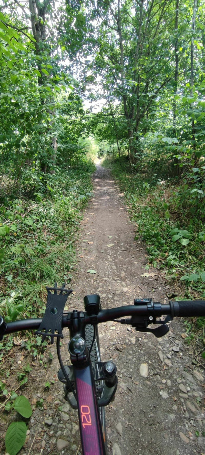 Balade nature à VTT à Essegney - Essegney