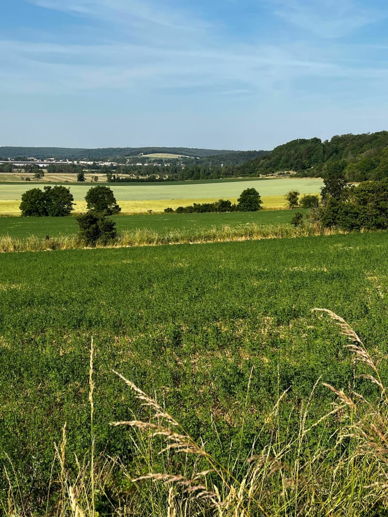Sortie autour de Vignot par la Croix de la Trace - Vignot