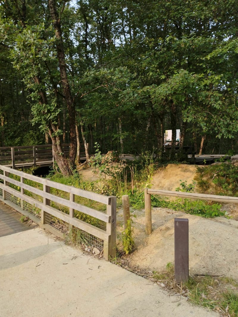 Forêt de Buzet et Ticol de Lévade - Buzet-sur-Tarn