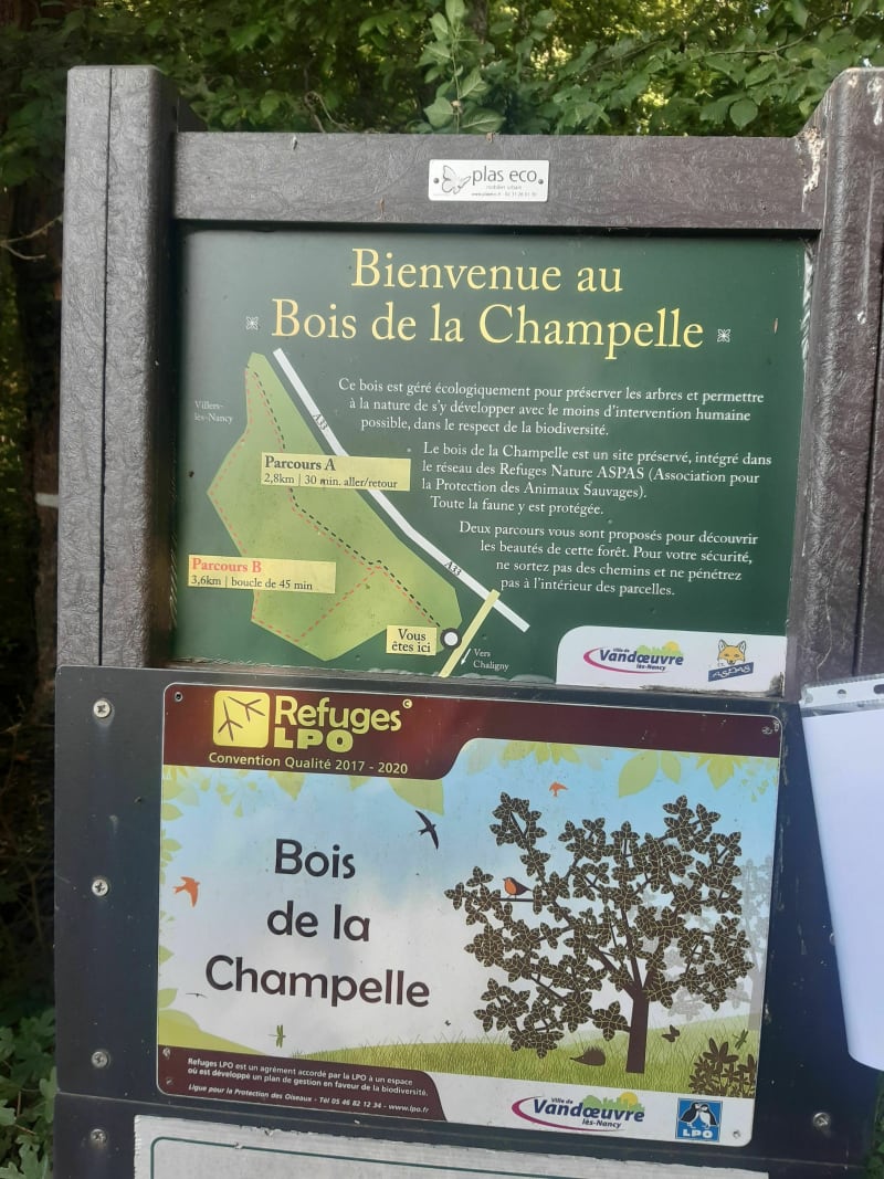 Bienvenue au bois de la Champelle - Houdemont