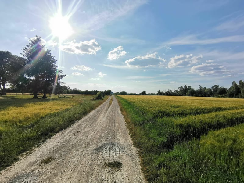 Dans les coins de Romilly sur Seine - Romilly-sur-Seine
