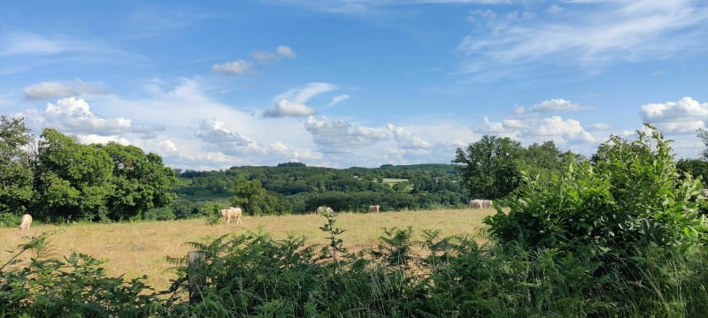 Petite balade facile d'accès en vtt . - Crevant