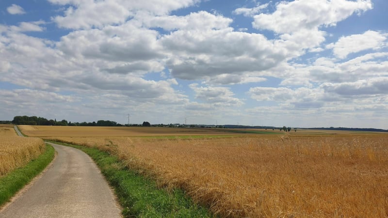 Balade en plaine de Warluzel - Warluzel