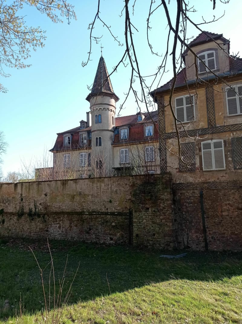 Boucle avec le Mont Ste Odile en objectif, belle grimpette. - Illkirch-Graffenstaden