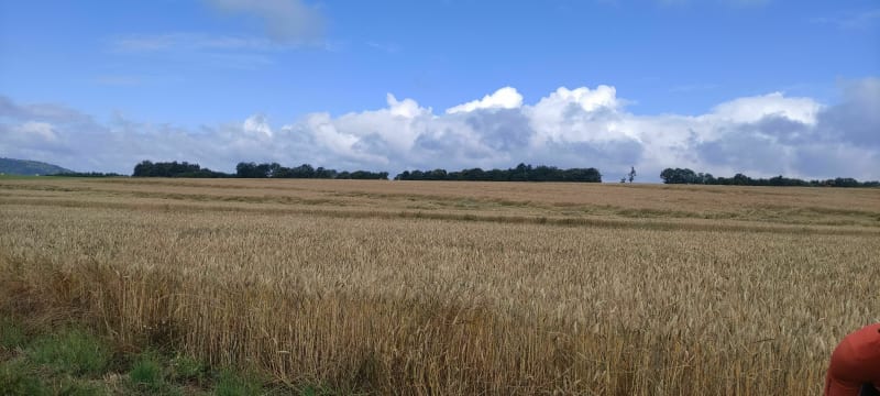 Gravel / VTT depuis La Frette - La Frette