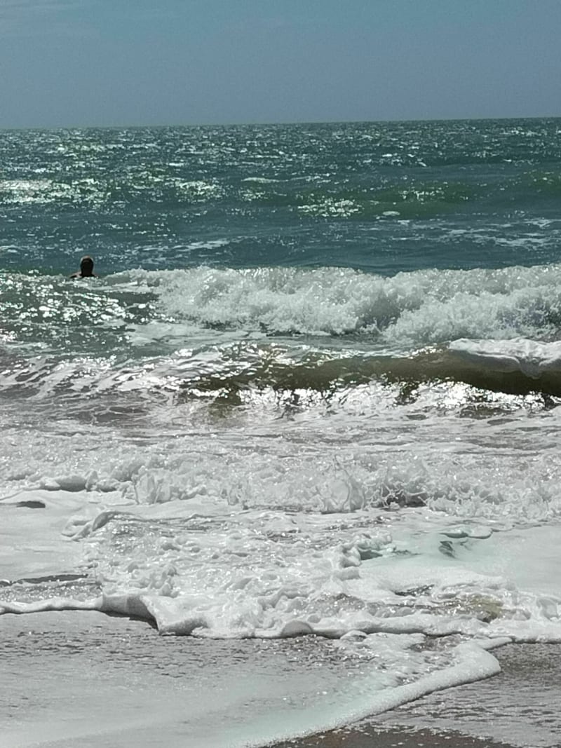 Entre terre, marais et mer - Angles