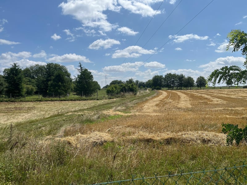 Balade en plein air à Lavoux - Lavoux