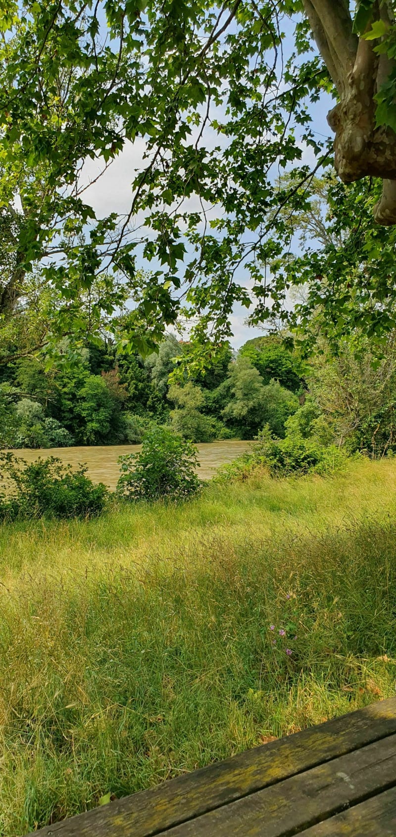 Vtt entre Mauzac/Beaumont sur Lèze - Beaumont-sur-Lèze