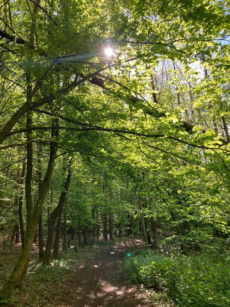 Petit tour la Vancelle depuis le Schirel - La Vancelle