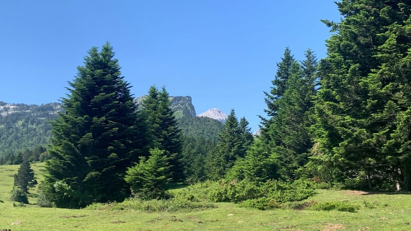 Pic des Tourelles 2038 m - Lées-Athas