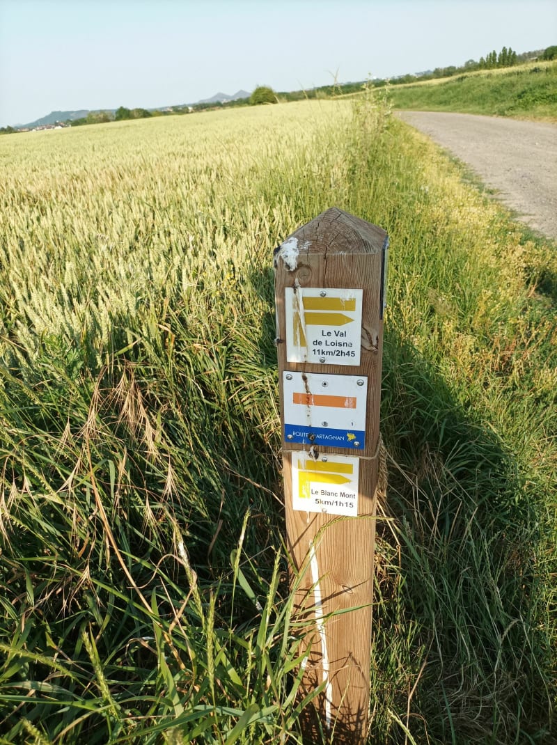 Balade entre chemin et goudron à Nœux-les-mines - Nœux-les-Mines