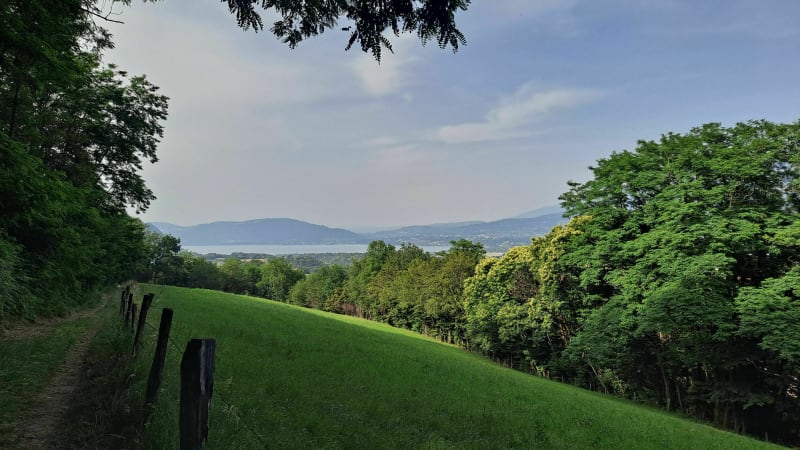 Boucle vers Barbizet - Le Bourget-du-Lac