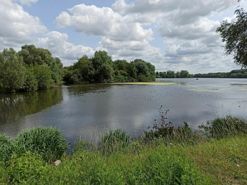 Randonnée vers le Lac du Héron - Villeneuve-d'Ascq