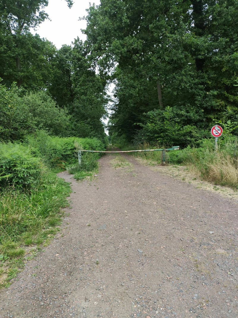 Forêt de Raisme-Saint Amand-Wallers - Fresnes-sur-Escaut