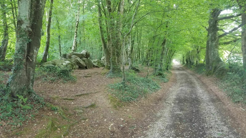 Jolie balade dans le bois des roches de Rocheville depuis Hameau Hibert - Rocheville