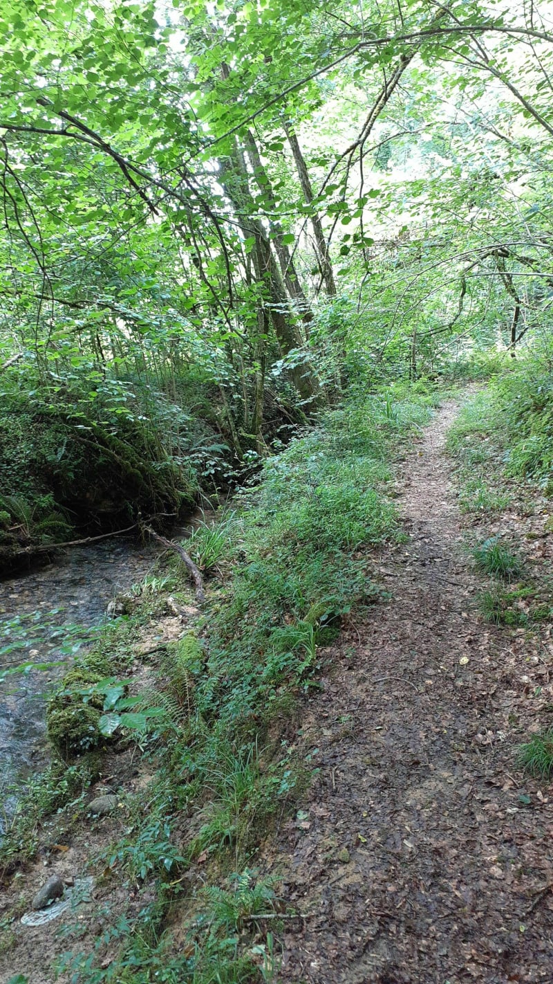 Chemin de Aliou avec vue sur le Château Tout-Y-Croit - Gan