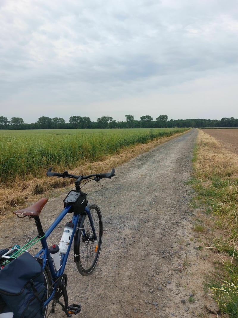 Entre champs et le long du canal... - Violaines