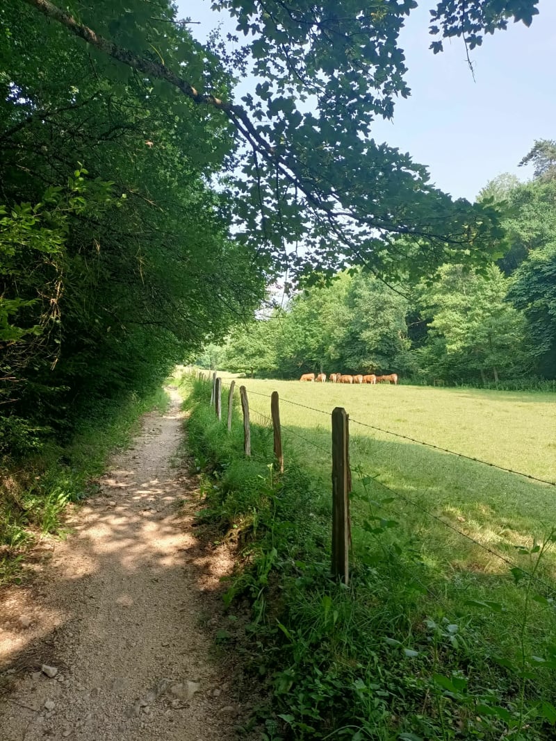 Par la réserve naturelle à Saint Etienne - Roche-la-Molière
