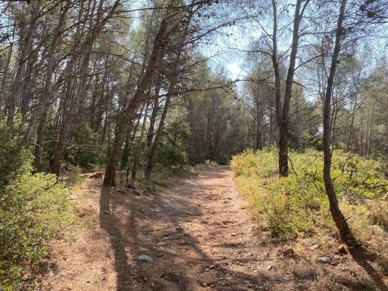 Balade de Claira à Mont Pins - Claira