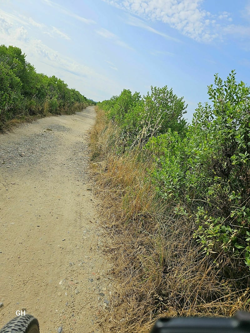 Boucle autour du Parc ornithologique de Gujan-Mestras au départ de La Teste-de-Buch - La Teste-de-Buch