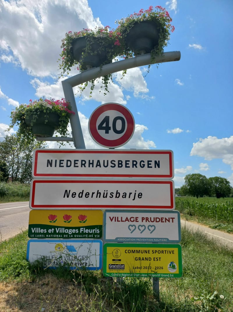 Balade à vélo dans de charmants petits villages alsaciens - Wolfisheim