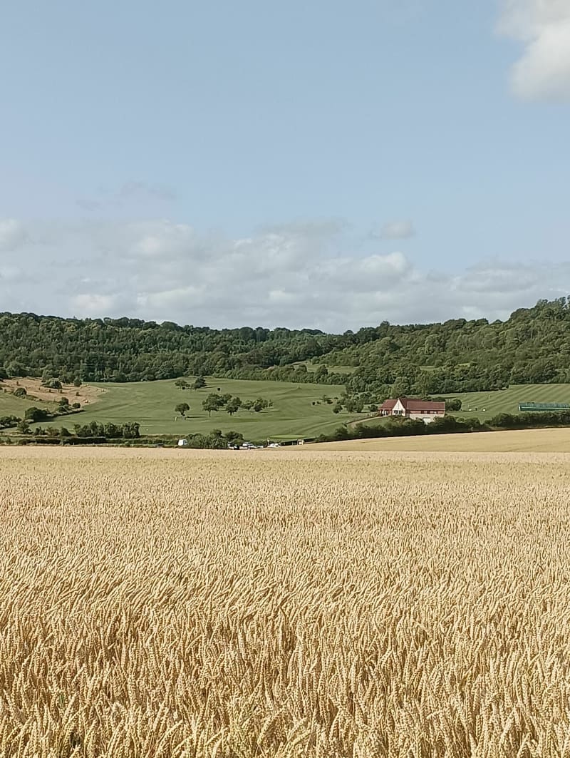 Autour du parc d'Olhain - Maisnil-lès-Ruitz