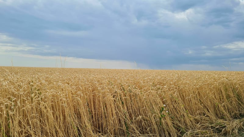 Balade a la campagne dans les côtes de Toul - Francheville
