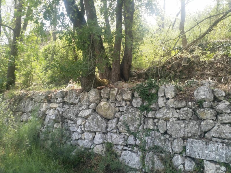 Balade dans la forêt de St Cannat - Saint-Cannat