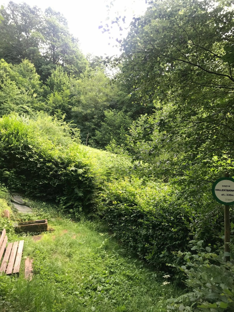 La Source de Soucht - Soucht
