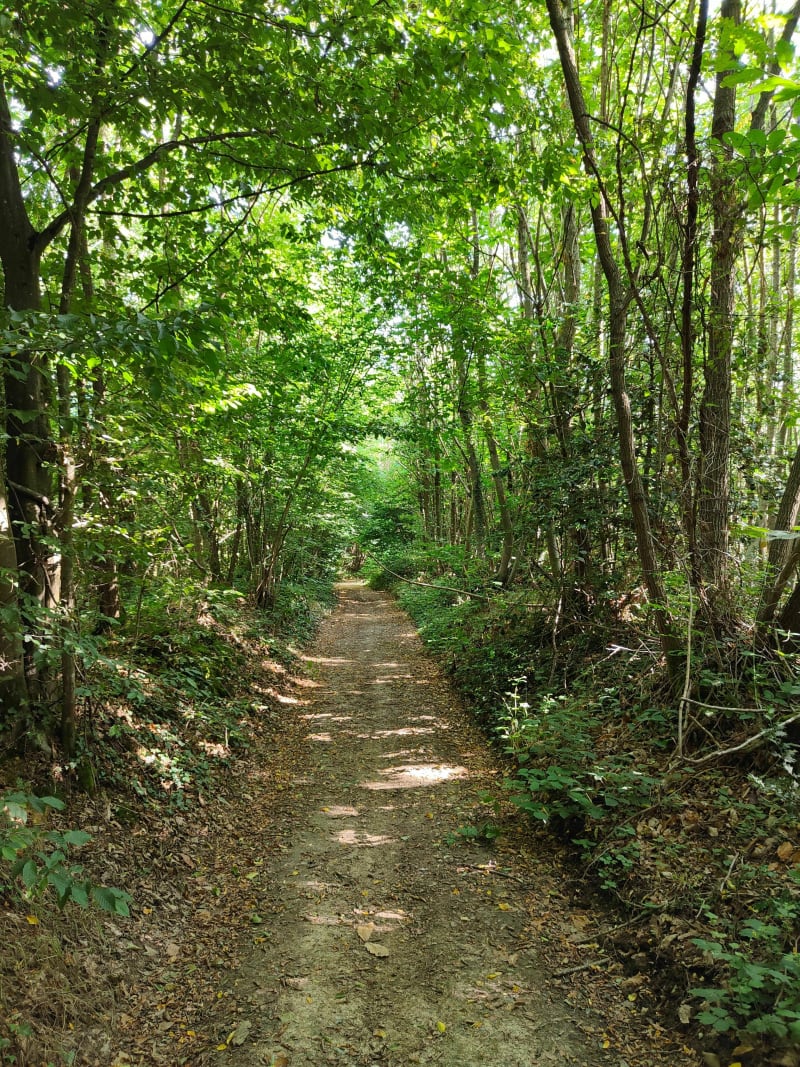 Parcours entre Saint-Etienne et Valeins - Saint-Étienne-sur-Chalaronne