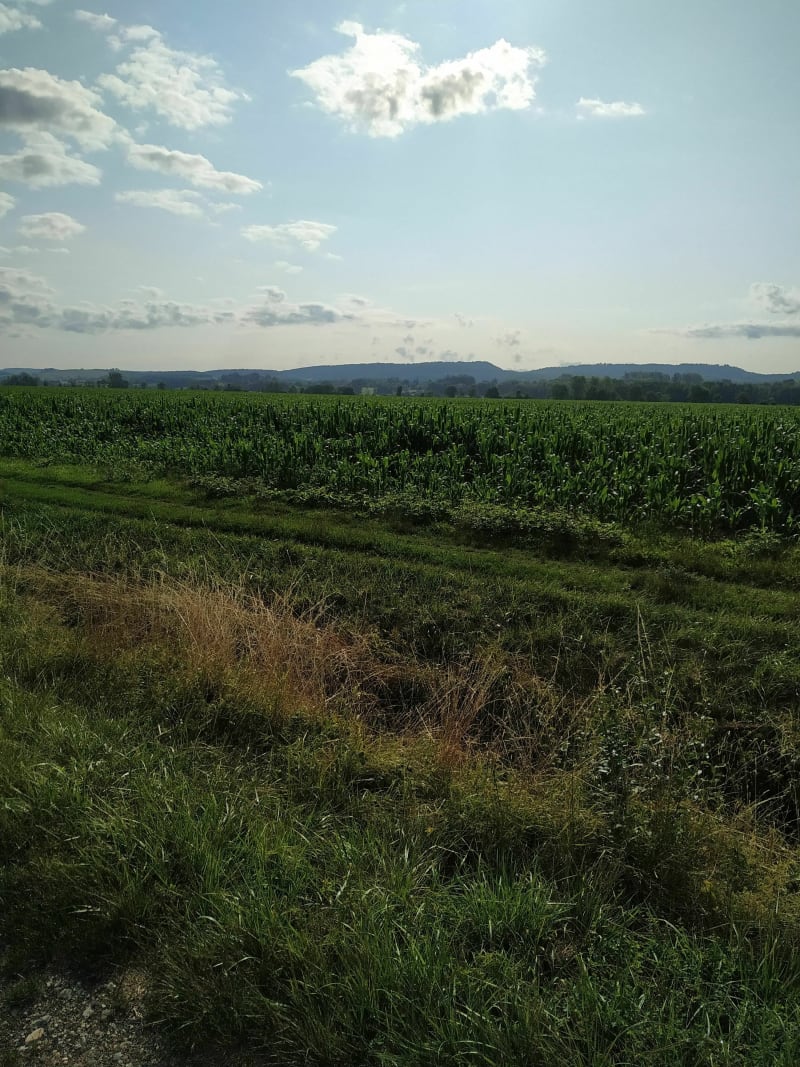 Les vignobles et Bresse Jurassienne - Frébuans