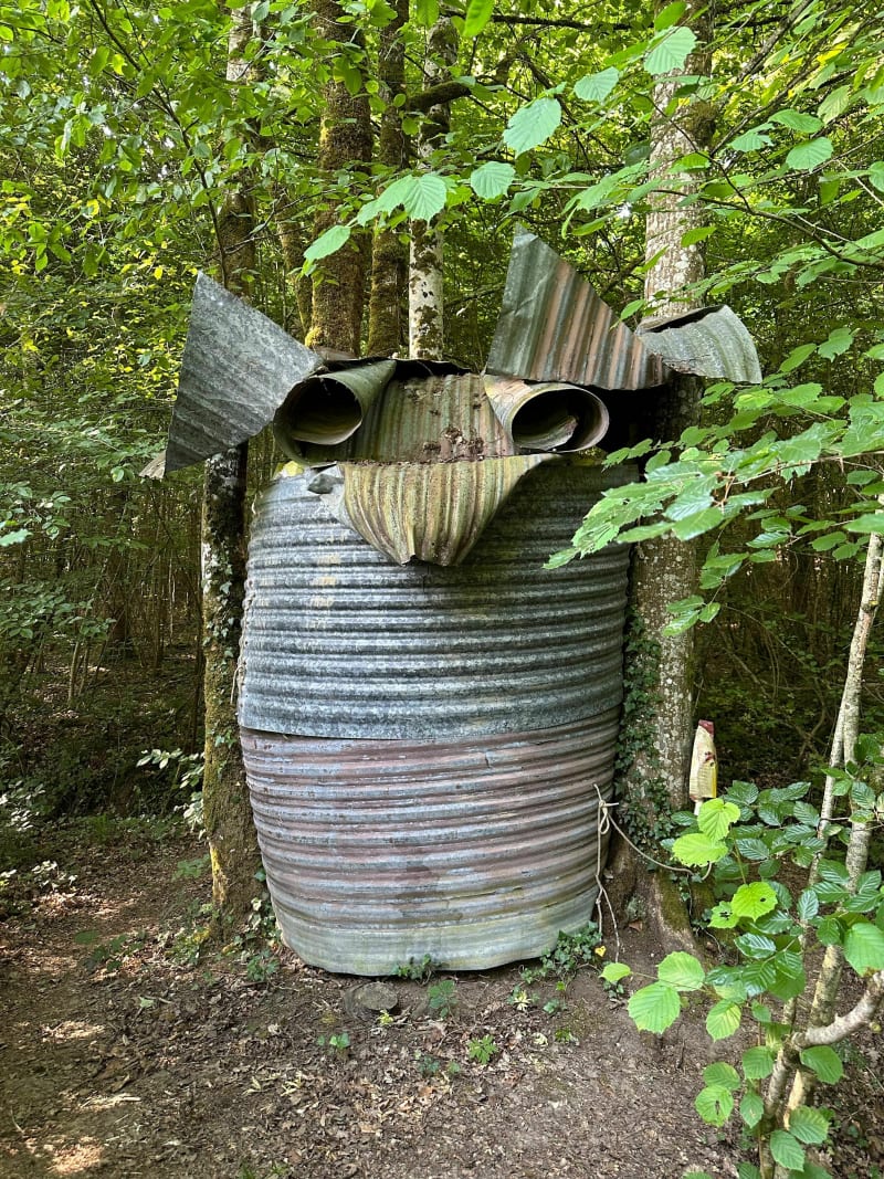 En VTT en forêt en Meuse - Nicey-sur-Aire