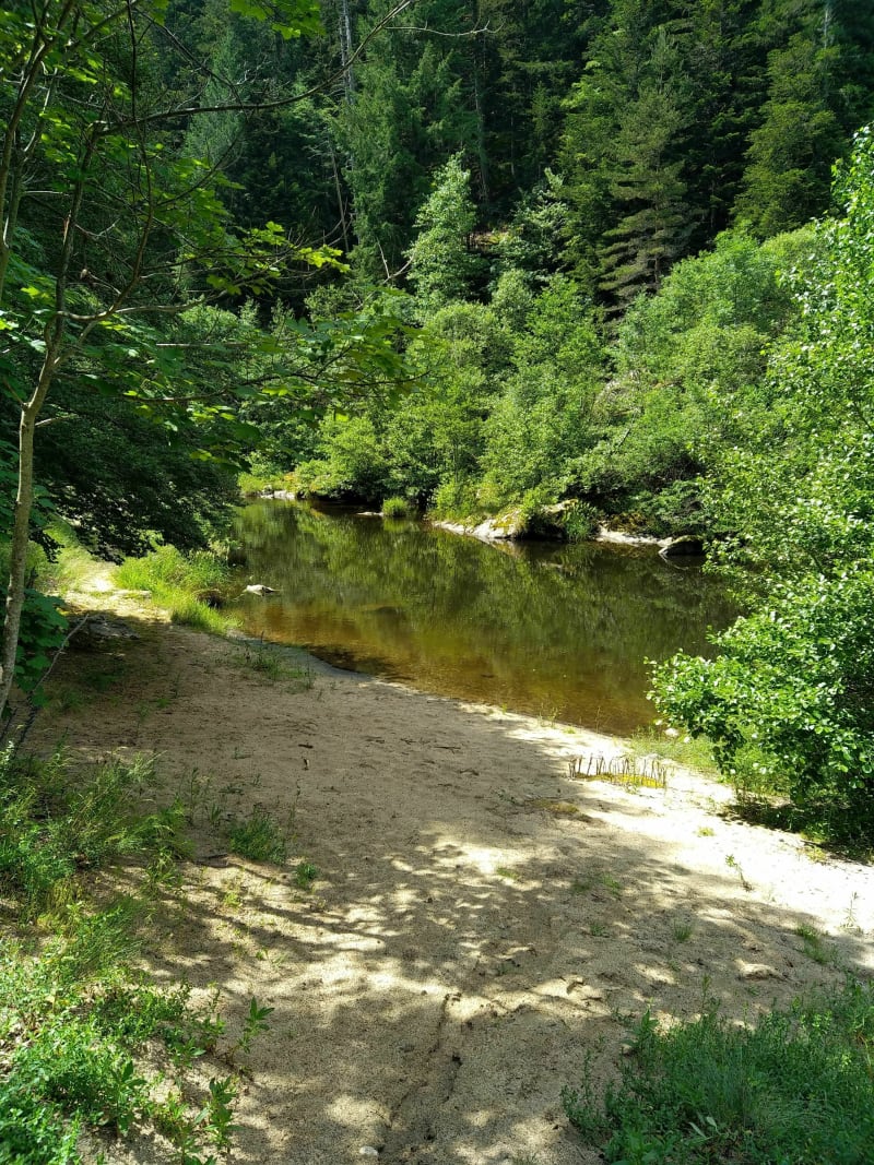 Les pieds dans la Loire - Issarlès