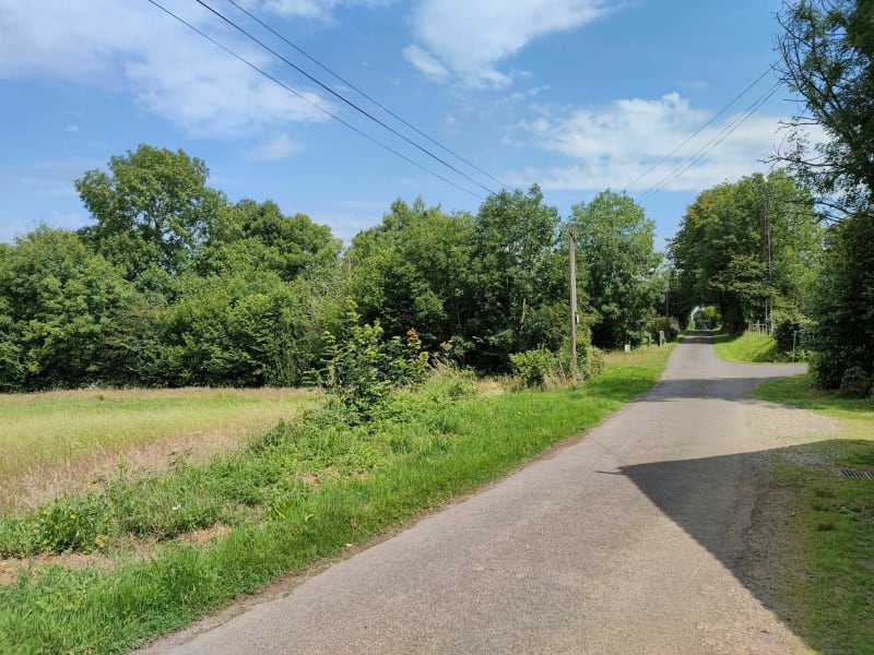Petite balade dans le bocage Champ-du-Boult - Noues de Sienne