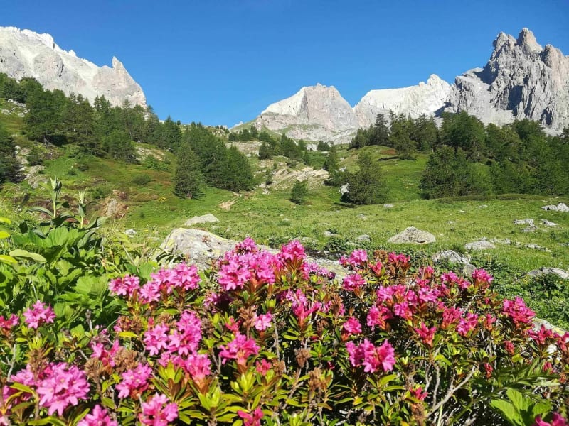 Pointe des Cerces aan het meer van Beraudes - Névache