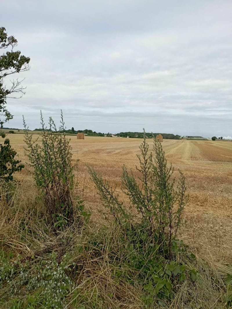 Ballade autour de Chanais - Lairoux