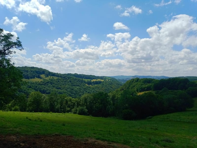 Entre Marcillac-Vallon et les hauts de Salles-la-Source - Marcillac-Vallon