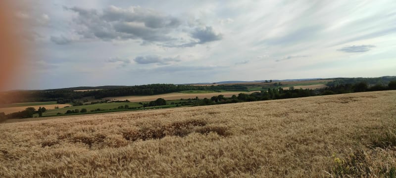 Balade campagnarde par Ham-les-Saint-Jean - Saint-Jean-lès-Longuyon