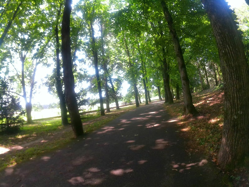 Parc de Parilly au départ du Stade Laurent Gérin - Vénissieux