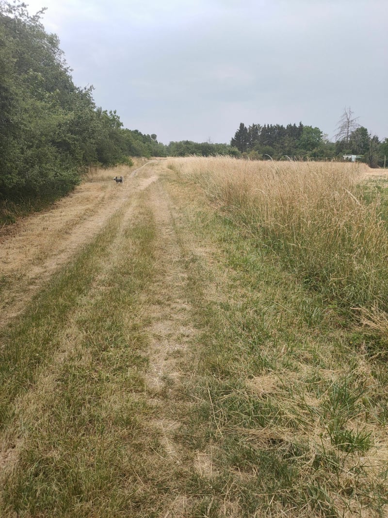 Volgelsheim canal du Rhône au Rhin-Biesheim-AR - Volgelsheim