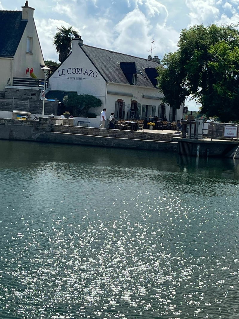 Coleau le long de ma mer - Vannes