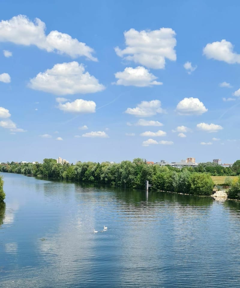 Boucle en berges de Seine - Houilles