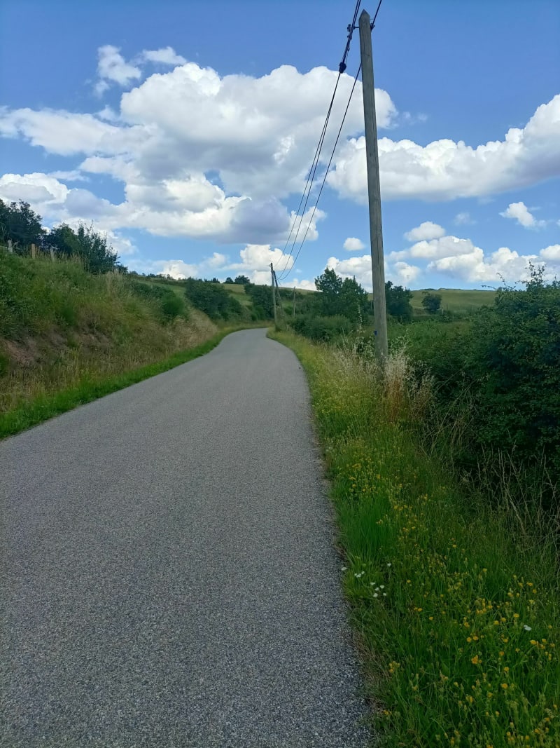 Dans la campagne rouchonne - Roche-la-Molière