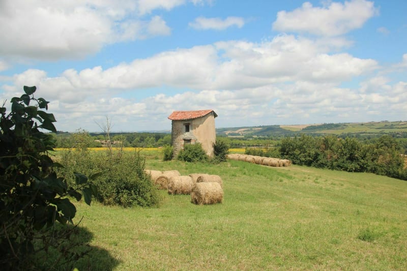 Le chemin de Massabrac - Massabrac