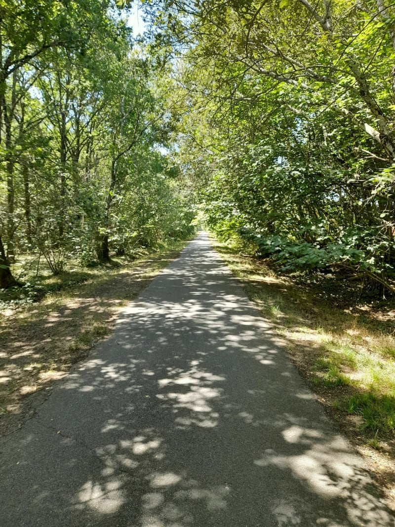 De Mimizan plage à Lüe - Mimizan