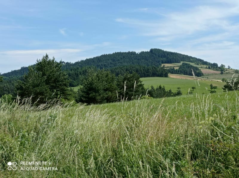Tour d'Anviac 43 - Saint-Paulien