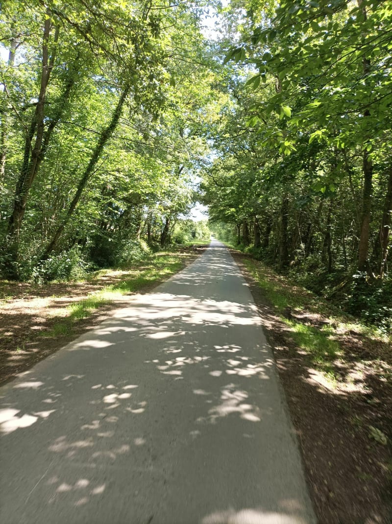 De Cuverville à Bavent par les bois - Cuverville