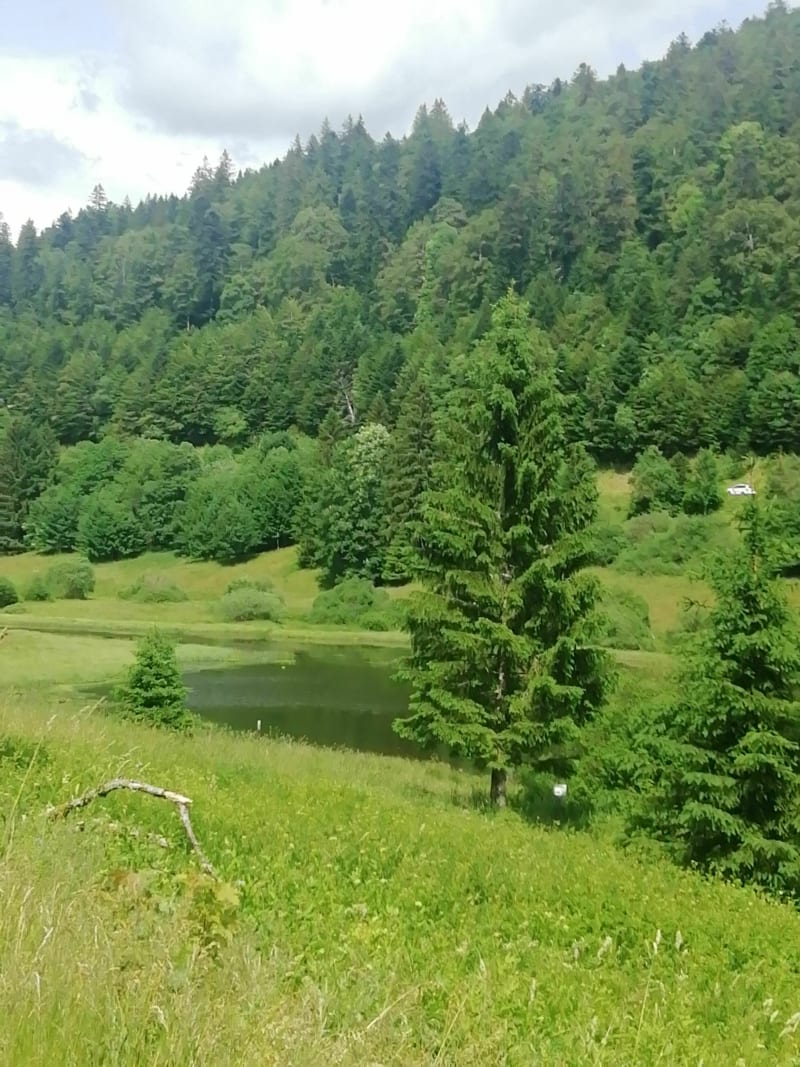 Autour des Feignes sous Vologne - La Bresse