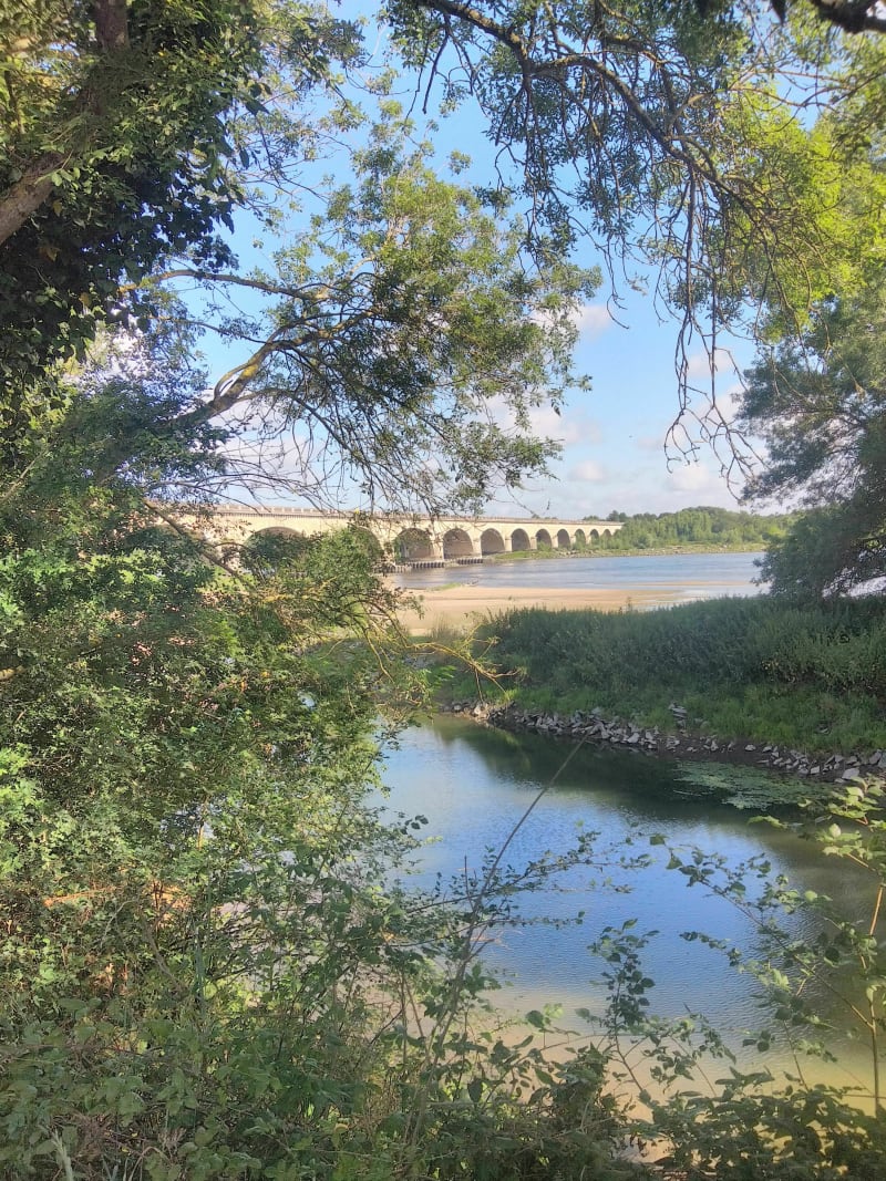 Entre La Loire et Le Louet en passant par Chalonnes - Rochefort-sur-Loire